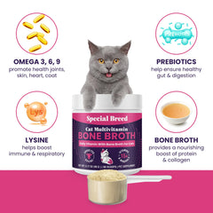 Special Breed Cat Multivitamin powder being prepared as liquid broth.