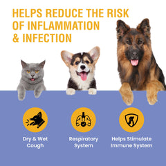Special Breed Kennel Cough Support bottle shown from the side.