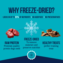 Stewart Freeze-Dried Dog Treats featuring the beef liver morsels.