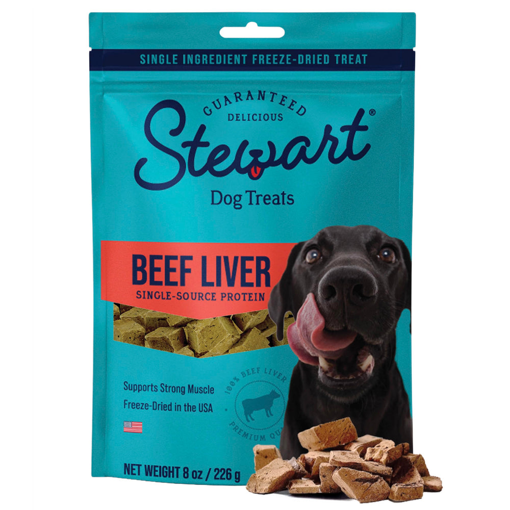 Stewart Freeze-Dried Dog Treats in the front view of the 8 oz pouch.