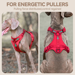 Sunraymascota dog harness close-up showing its flexible Lycra fabric.