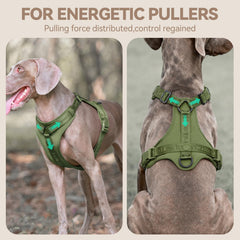 Sunraymascota Dog Harness shown from the side to display its vest shape.