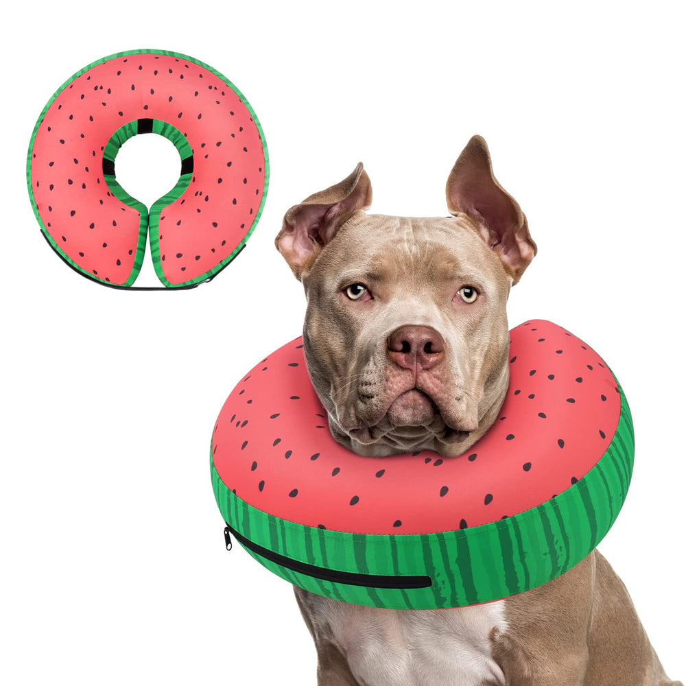 Supet inflatable dog recovery collar shown from the front in its donut shape.