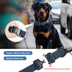 Tacwild dog collar quick-release metal buckle shown in a close-up view.