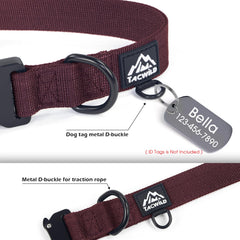 Tacwild XL dog collar shown fitted on a dog during an outdoor walk.