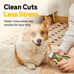 Thunderpaws dog nail clippers close-up showing the stainless steel blades.