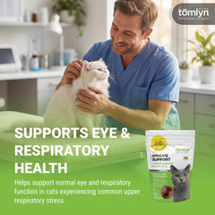 TOMLYN L-Lysine cat chews shown during a cat's daily chew routine.