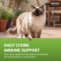 TOMLYN L-Lysine cat chews shown in a close-up of the flavored chew.