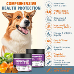 A close-up view of a TTLXBL dog multivitamin chew.