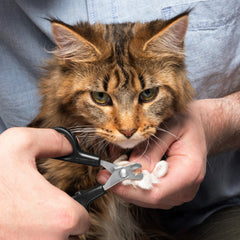 Tweezerman X-Small pet nail clippers showing the non-slip handle grip.