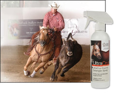 UltraCruz Equine Detangler Spray used while grooming a horse’s mane.