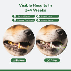 Vetriuntrix Dog Teeth Cleaning Powder sprinkled over a dog's food.
