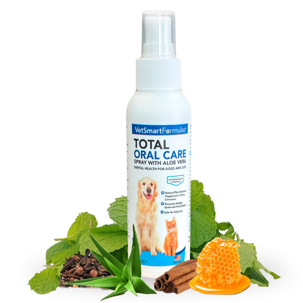 VetSmart Formulas Oral Care Spray shown from the front.