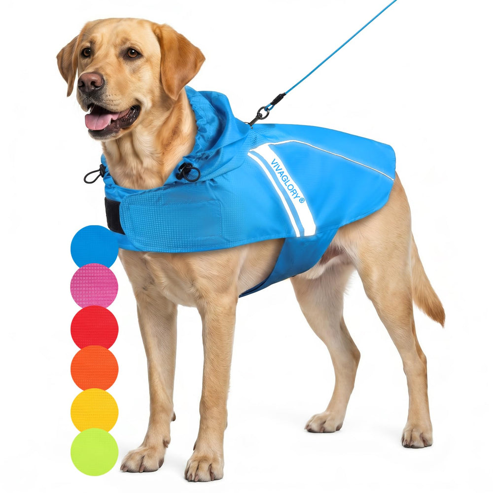 VIVAGLORY dog raincoat shown from the front in blue.