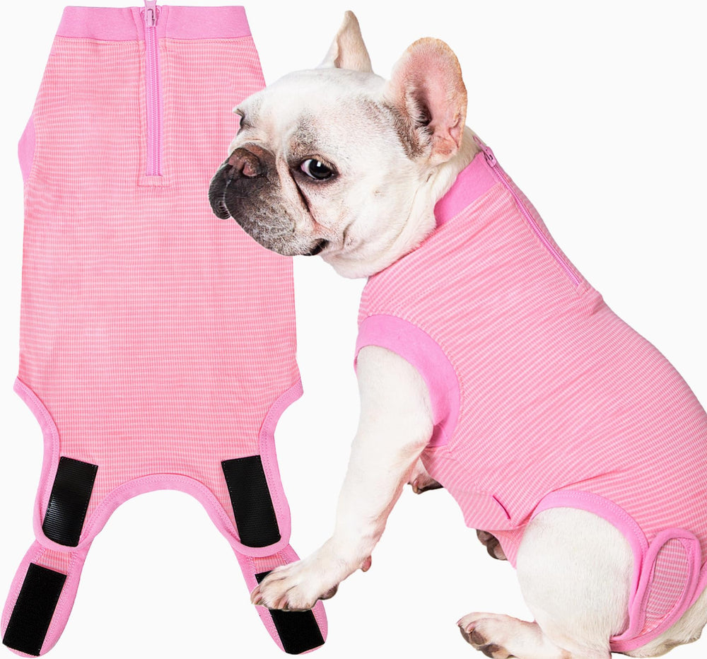 Wabdhaly female dog recovery suit shown from the front.