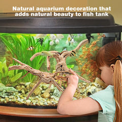 WDEFUN natural spiderwood arranged as decor in an aquarium setting.