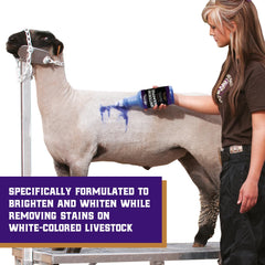 Weaver Livestock Whitening Shampoo shown with its product label in focus.