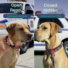 WhoseID tactical dog collar padded inner lining shown in detail.