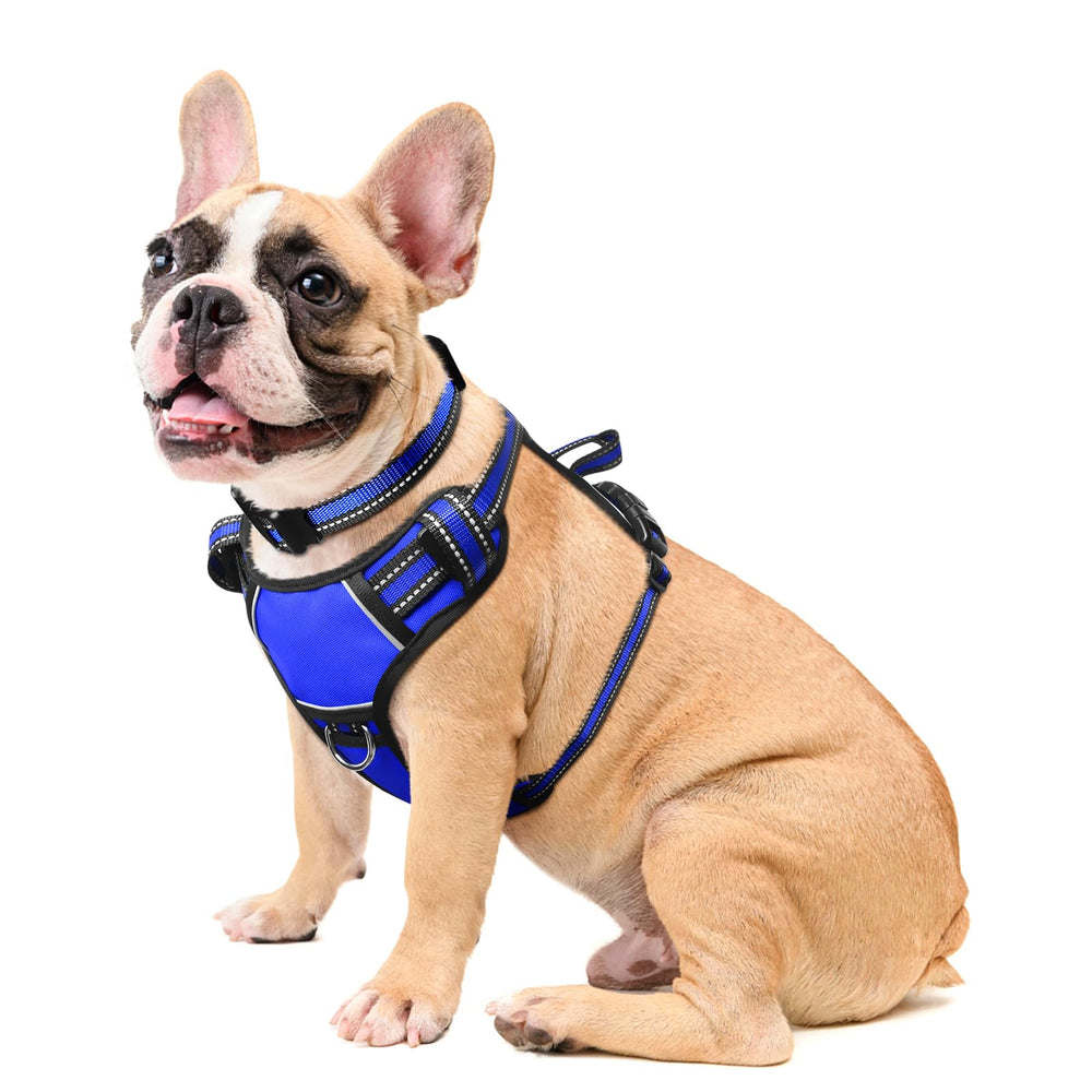 WINSEE dog harness shown from the front.