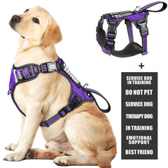 WINSEE dog vest harness shown from the front.