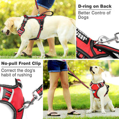 WINSEE dog harness detail showing its rear leash attachment.