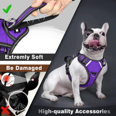 WINSEE dog harness patches showing sewn message labels.