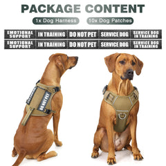 WINSEE tactical dog harness with its front leash attachment visible.