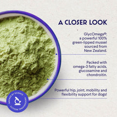 Close-up of the WONDER PAWS mussel powder texture.