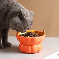 Orange pumpkin design on the Yeexoxow ceramic cat bowl.