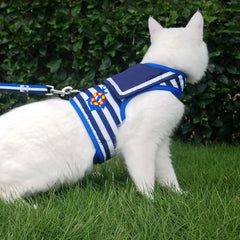 YIZHI MIAOW cat harness showing its padded vest construction.