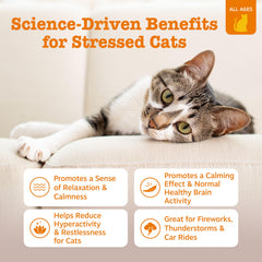 Zesty Paws Cat Calming Mousse ingredient details shown close up.