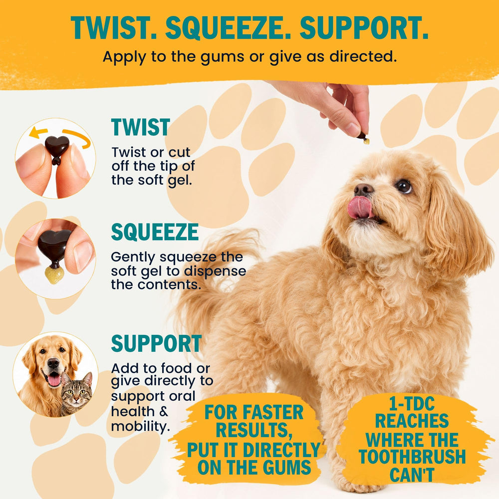 1-TDC joint and gum support soft gels shown in a cat-focused product image.