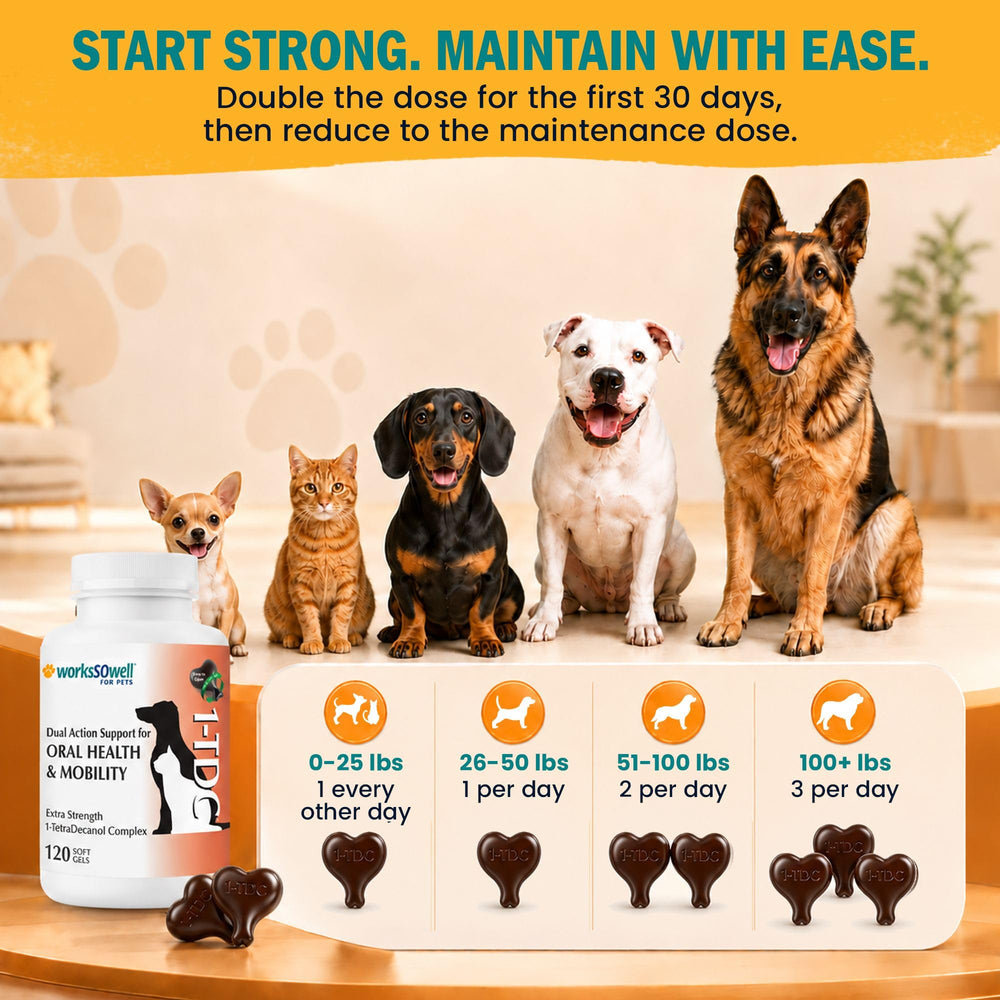 1-TDC joint and gum support soft gels shown in a dog-focused product image.