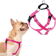 2 Hounds Design dog harness shown from the front in Hot Pink.