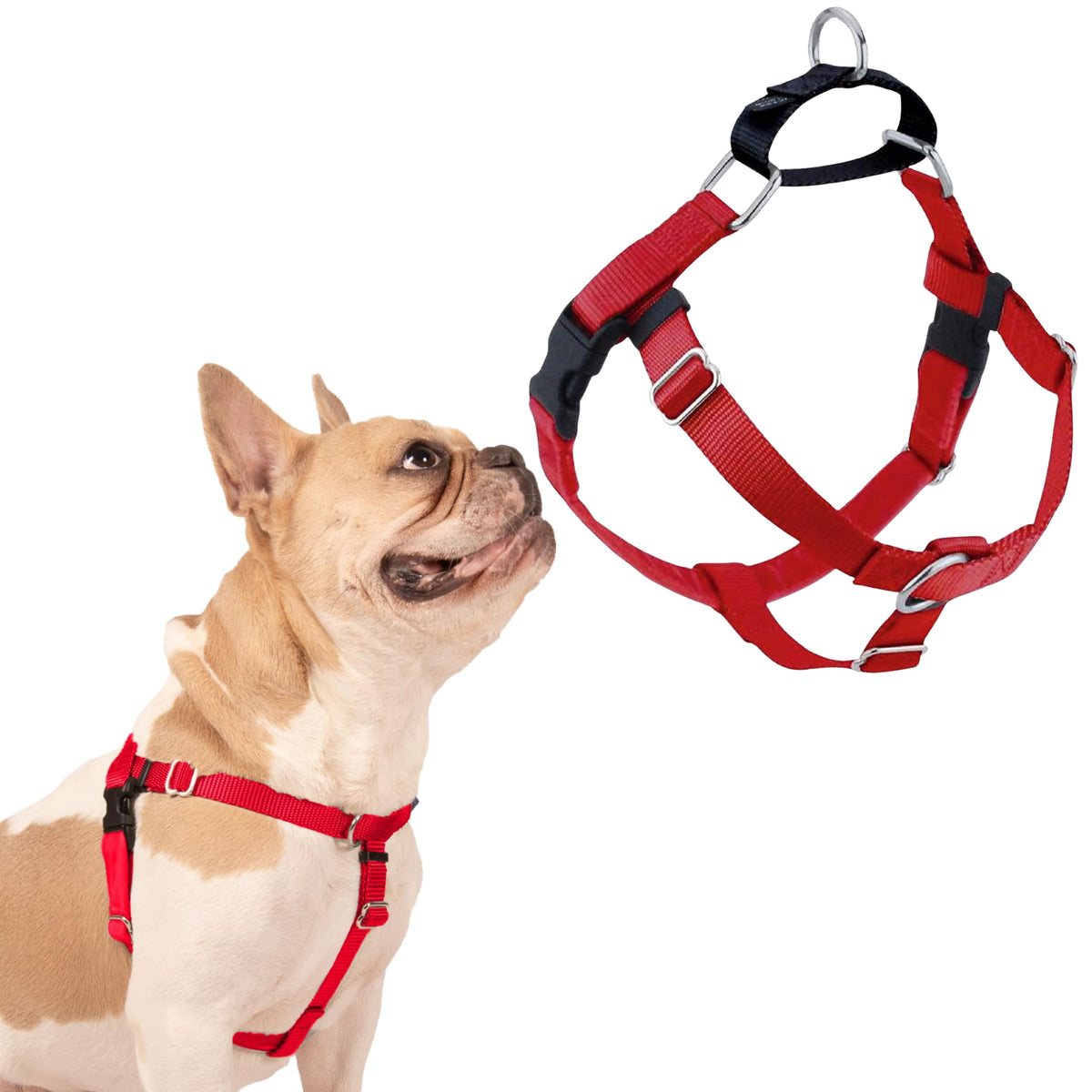 2 Hounds Design Freedom dog harness shown from the front in red.