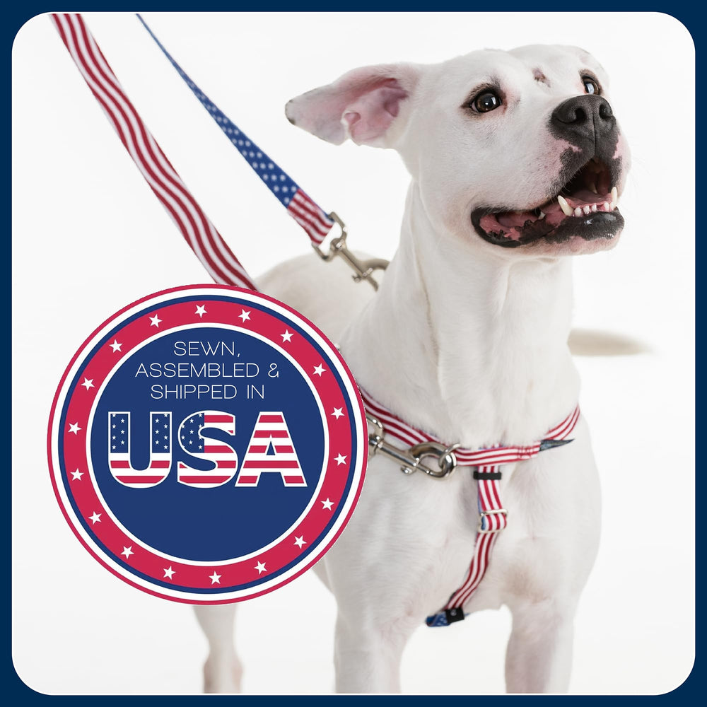 2 Hounds Design Freedom harness worn by a dog on a walk.