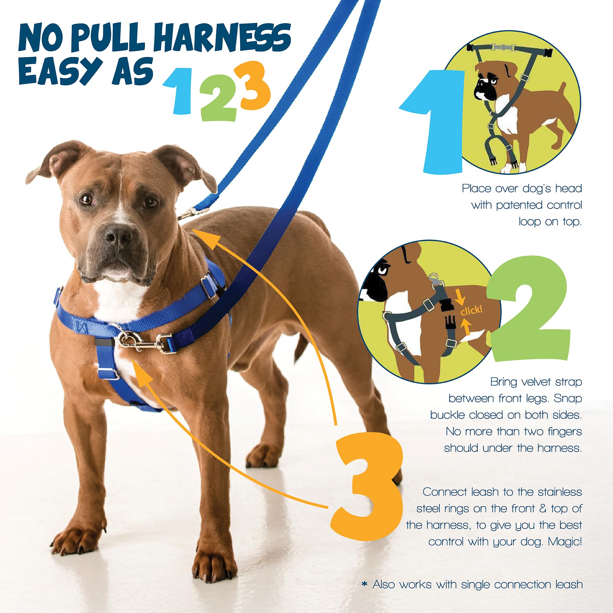 2 Hounds Design Freedom No Pull Dog Harness front O-ring shown in detail.