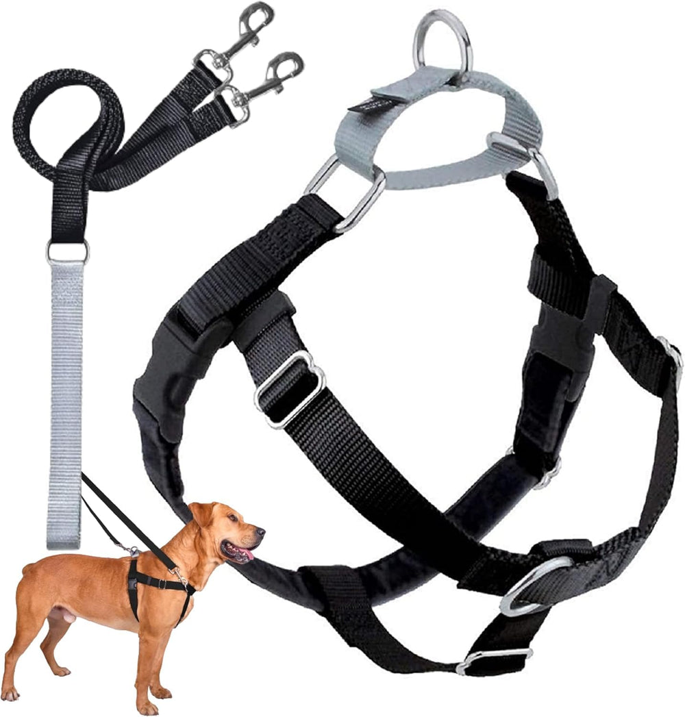 2 Hounds Design Freedom harness shown from the front in black.