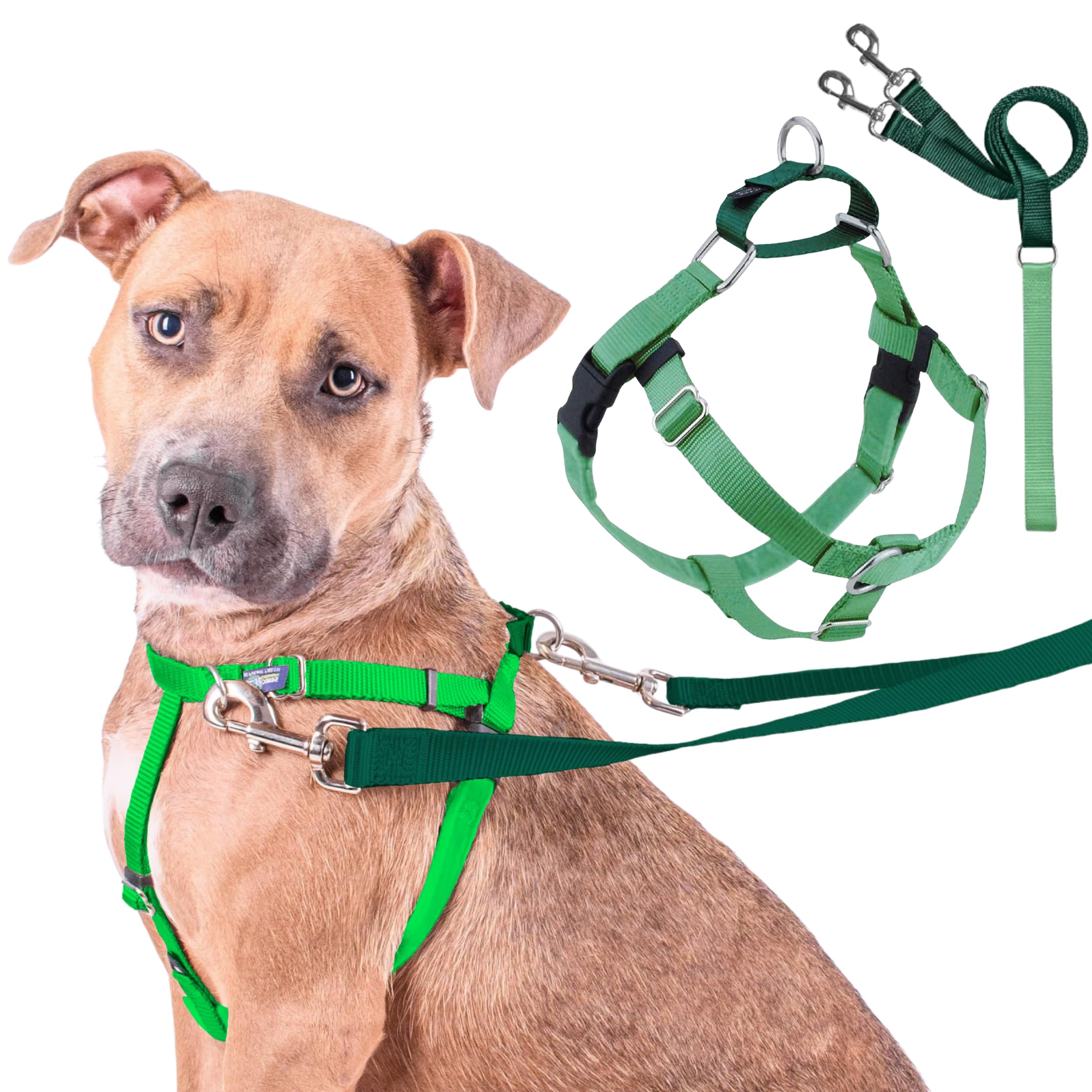 2 Hounds Design Freedom harness shown from the front in neon green.