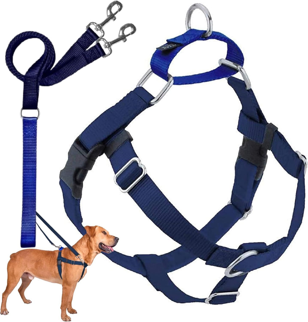 2 Hounds Design Freedom harness shown from the front.