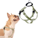 2 Hounds Design Freedom No Pull Dog Harness shown from the front.