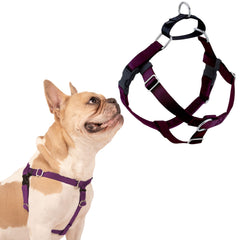 2 Hounds Design Freedom dog harness shown from the front.