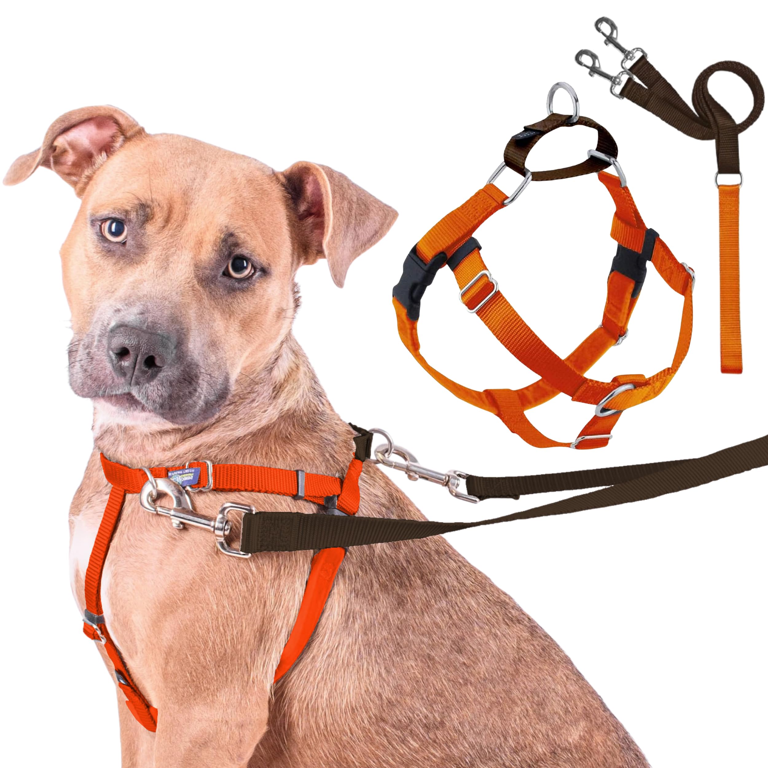 2 Hounds Design Freedom harness shown from the front.