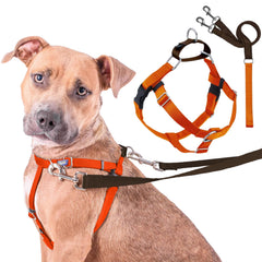 2 Hounds Design Freedom harness shown from the front.