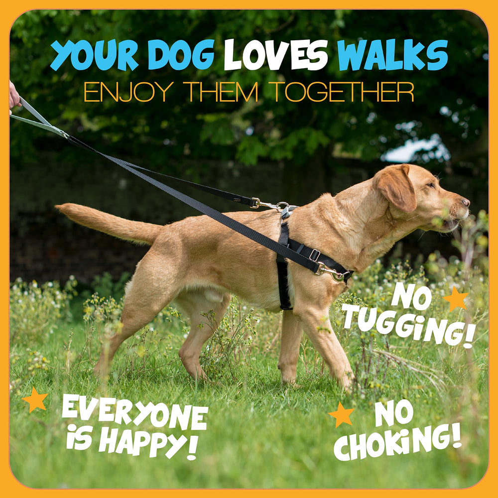 2 Hounds Design Freedom No Pull Dog Harness with its leash connection points visible.
