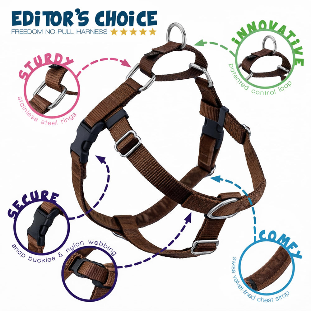 Close-up of the front O-ring on the 2 Hounds Design harness.