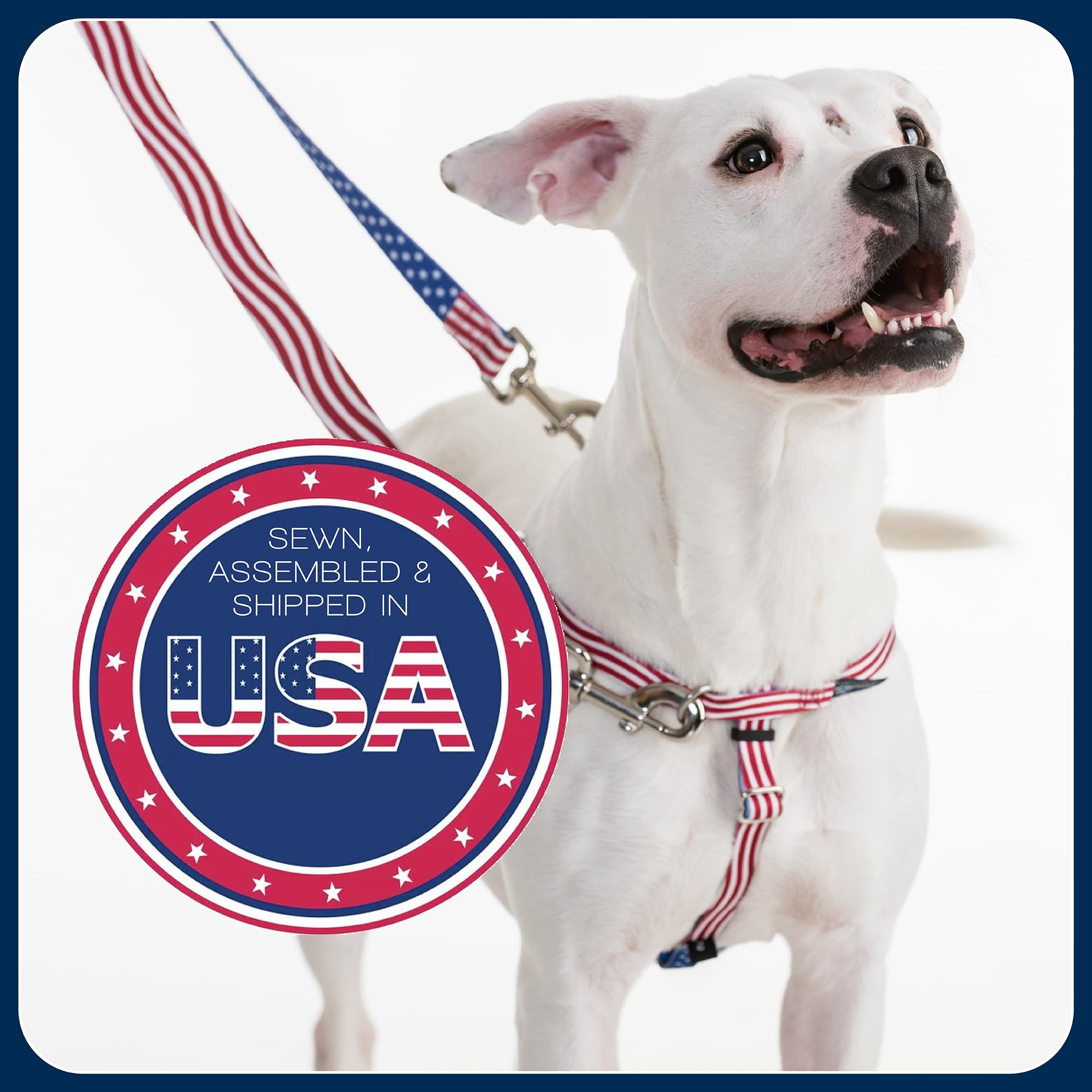 2 Hounds Design Freedom dog harness front O-ring close-up.