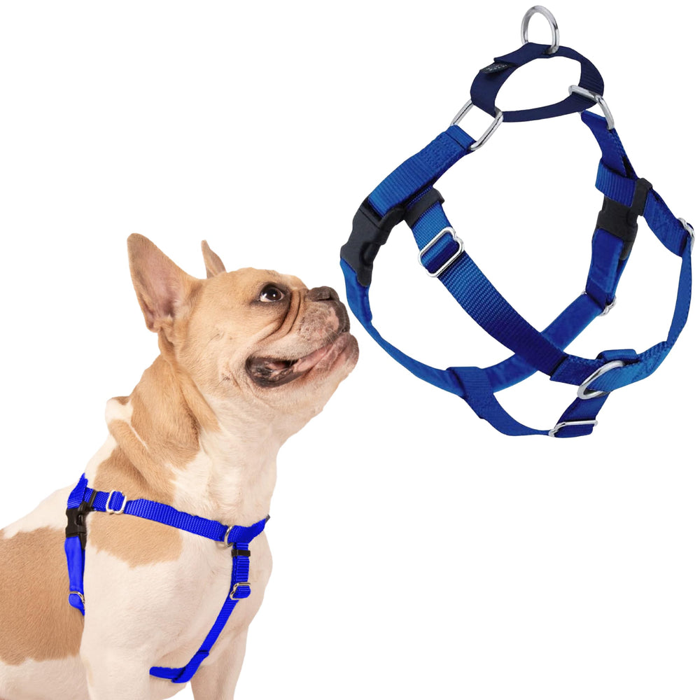 2 Hounds Design Freedom No Pull Dog Harness shown from the front in Royal Blue.