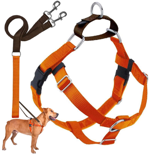 2 Hounds Design Freedom harness shown from the front in neon orange.