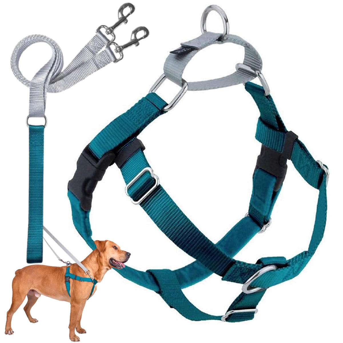 2 Hounds Design Freedom No Pull Dog Harness and Leash shown from the front in teal.